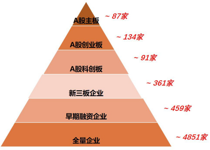 谁是未来冠军——“专精特新”密码结构(1)(1)(1)-已转档4593.png 谁是未来冠军——“专精特新”密码结构(1)(1)(1)-已转档4593.png